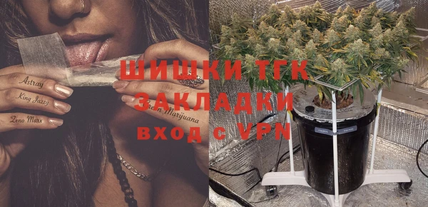 соль курить ск Белокуриха