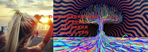 спиды Беломорск