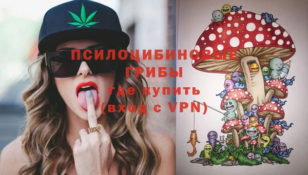 соль курить ск Белокуриха
