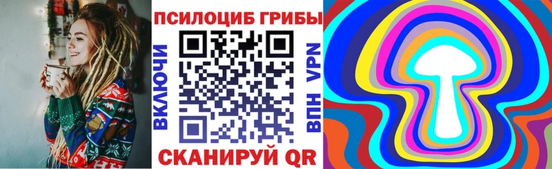 Псилоцибиновые грибы Psilocybine cubensis  Купить  Саяногорск 